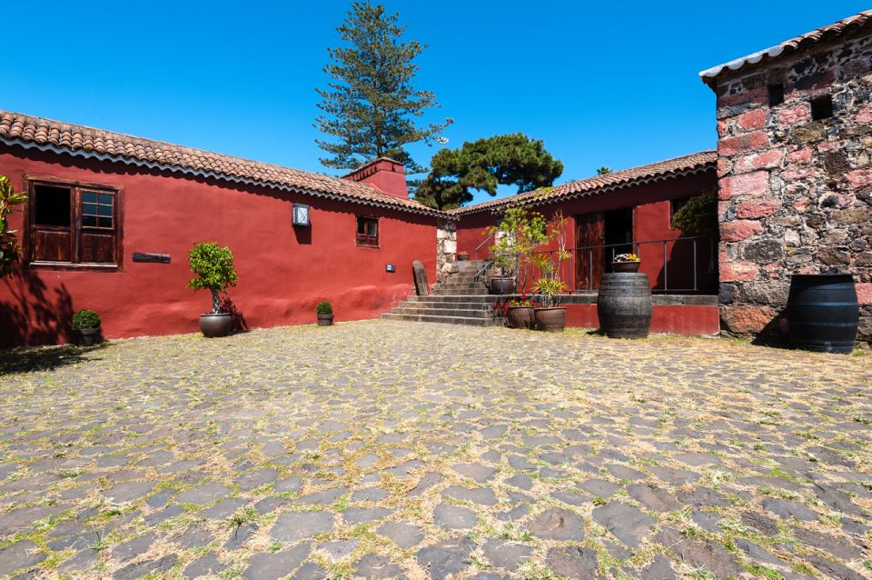 Tenerife: Full-Day Gastronomy and Wine Tour - Lunch at Bodegas Monje: Four Courses, Four Chances for Pairing