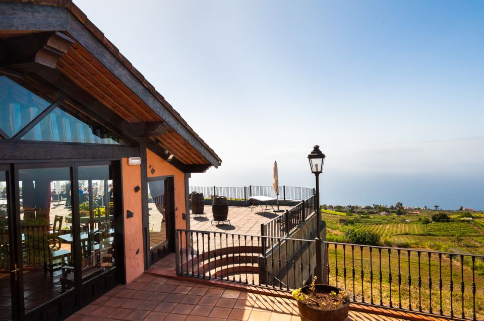 Tenerife: Full-Day Gastronomy and Wine Tour - Should You Book This Tour or Not?