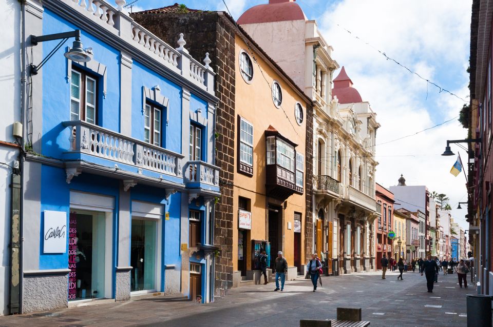 Tenerife: Full-Day Gastronomy and Wine Tour - Casa del Vino: Cheese and Wine Tasting with Museum-Style Focus