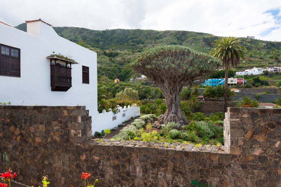 Tenerife: Full-Day Guided Island Tour - A Full-Day Loop Around Tenerife’s Perimeter