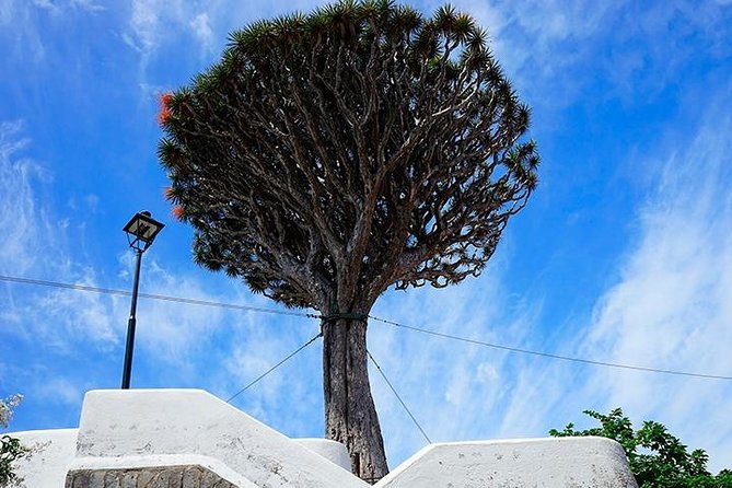 Tenerife Full Island Tour - A One-Day Tenerife Route That Actually Covers West to East