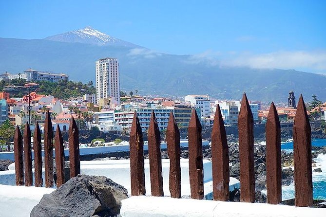 Tenerife Full Island Tour - Los Gigantes Viewpoint: The 600-Meter Cliff Moment