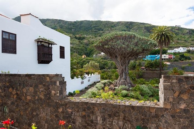Tenerife Full Island Tour - Puerto de la Cruz: Lunch Break in a Real Seaside Town
