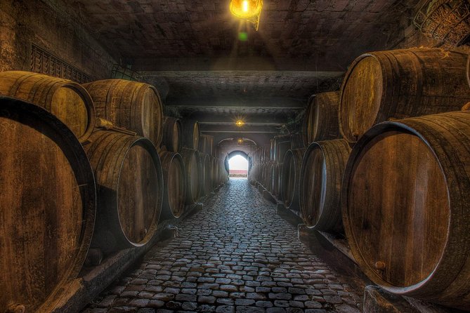 Tenerife Gastronomy Tour with Two Winery Visits and 4-Course Lunch - Who This Tour Fits Best (and Who Might Want a Different Option)