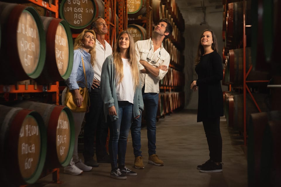 Tenerife: Gran Canaria Full-Day Guided Tour with Aquarium - Destilería Arehucas: rum history you can actually see