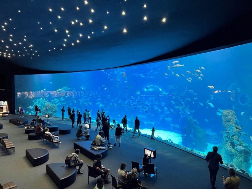 Tenerife: Gran Canaria Full-Day Guided Tour with Aquarium - Logistics reality: what can slow you down?