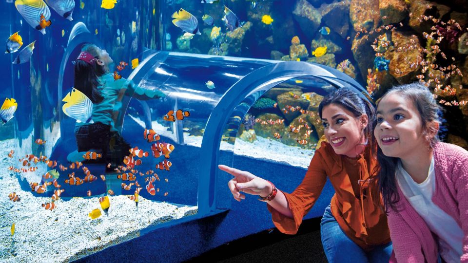 Tenerife: Gran Canaria Full-Day Guided Tour with Aquarium - The ferry day: Tenerife to Gran Canaria without the stress