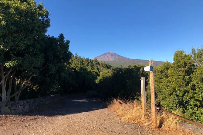 Tenerife Grand Tour: including Teide National Park and Masca - Price and Logistics: Worth It or a Hassle?