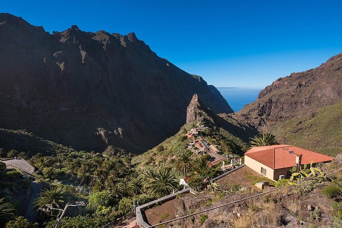 Tenerife Grand Tour: including Teide National Park and Masca - Guides, Drivers, and the Pace: Why Timing Matters