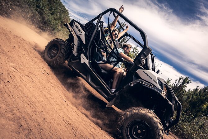 Tenerife: Guided Buggy Discovery Tour around Mount Teide - Key highlights I’d mark on your Tenerife map