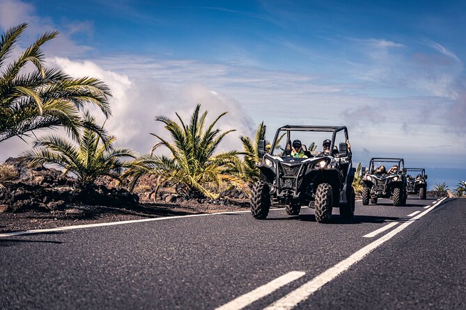 Tenerife: Guided Buggy Discovery Tour around Mount Teide - Getting picked up: 11 locations around Tenerife’s south coast