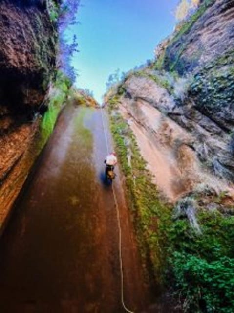 Tenerife: Guided Canyoning Experience in Los Arcos - Abseil walls up to 20 meters: what the rope descents are like