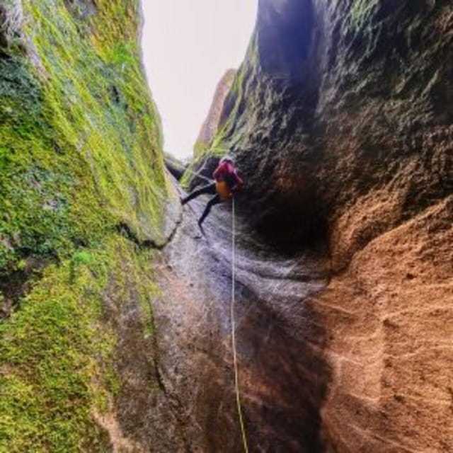 Tenerife: Guided Canyoning Experience in Los Arcos - Beyond adrenaline: volcanic erosion, endemic plants, and guide-led canyon storytelling