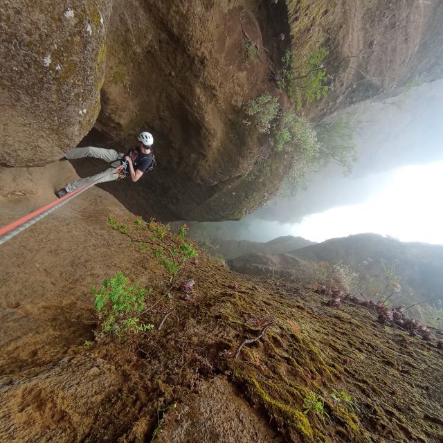 Tenerife: Guided Canyoning Experience in Los Arcos - The 45-minute approach: forest steps, fire recovery, and what to expect underfoot
