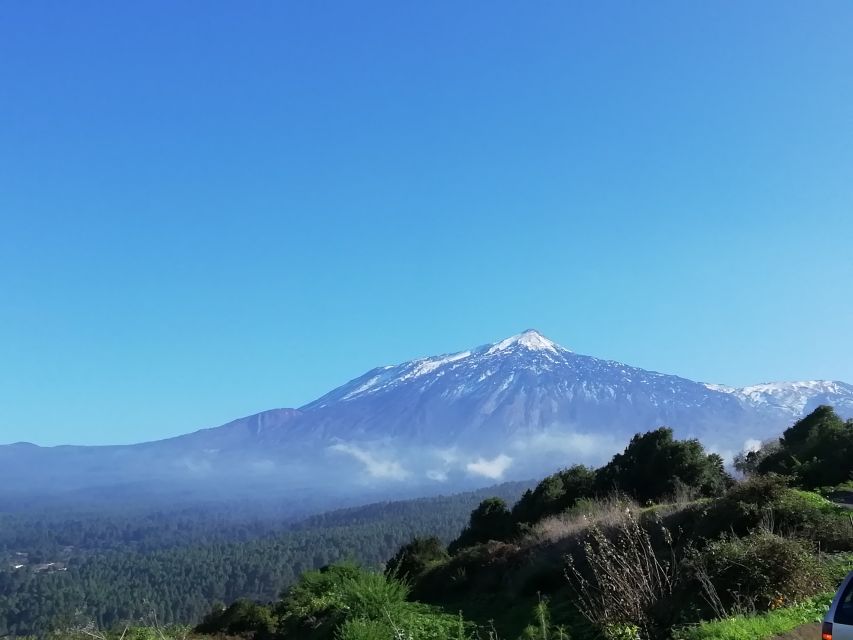 Tenerife: Guided Horseback Riding Tour to the Lomo Forest - Key highlights worth knowing before you go