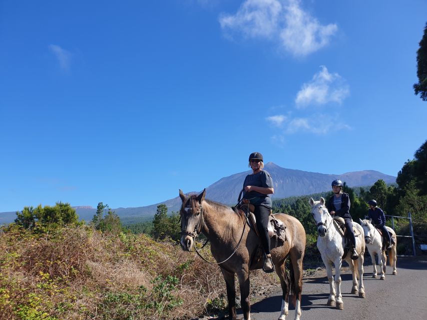 Tenerife: Guided Horseback Riding Tour to the Lomo Forest - Where the Lomo forest ride fits in your Tenerife plan