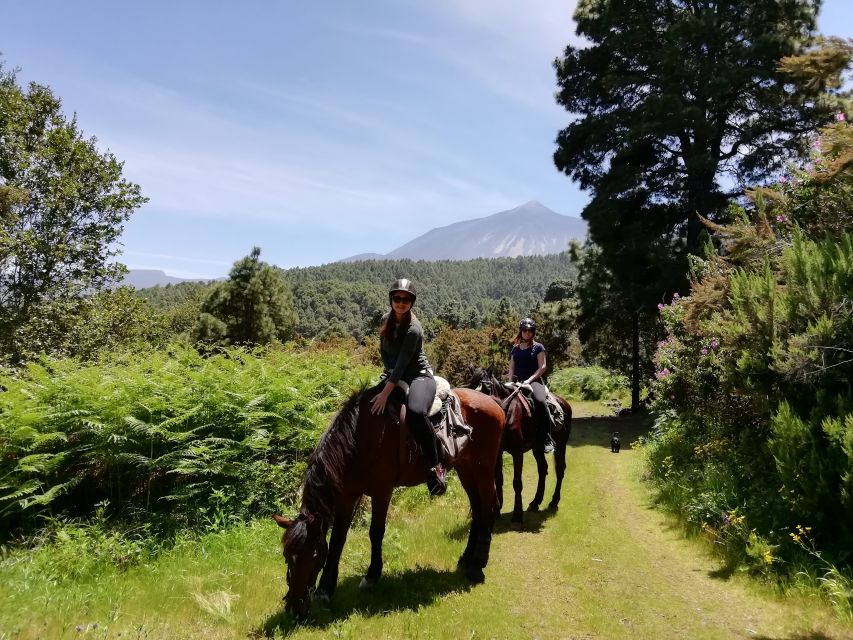 Tenerife: Guided Horseback Riding Tour to the Lomo Forest - The trail portion (walk-only): Lomo Cuchillo in a calm, steady loop