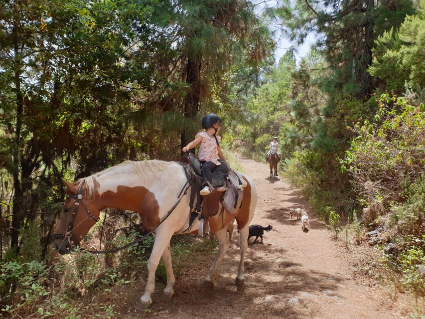 Tenerife: Guided Horseback Riding Tour to the Lomo Forest - Getting help if you need it: what’s included vs what costs extra