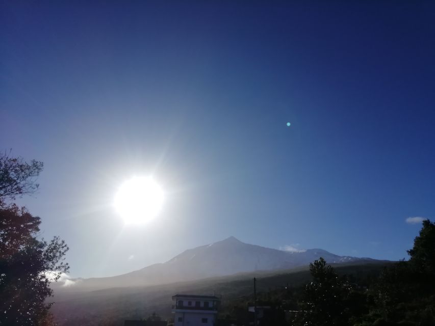 Tenerife: Guided Horseback Riding Tour to the Lomo Forest - What to wear (and what to skip) so you feel comfortable in the saddle