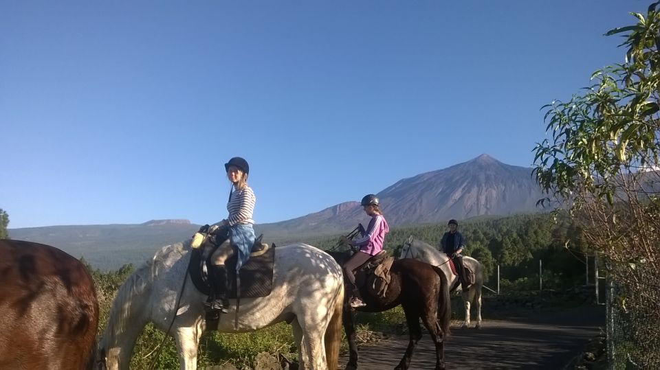 Tenerife: Guided Horseback Riding Tour to the Lomo Forest - Who this horseback ride is best for (and who should look elsewhere)