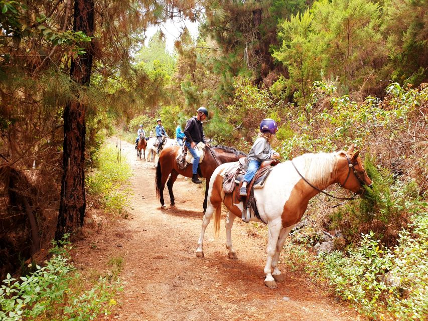 Tenerife: Guided Horseback Riding Tour to the Lomo Forest - Finca Estrella: the real start of the experience