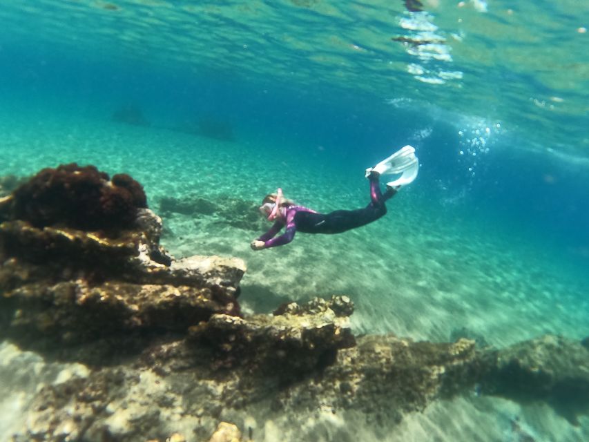 Tenerife: Half-Day Snorkeling Tour - Quick hits for Abades Bay snorkelers