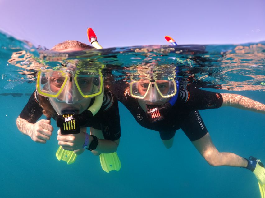 Tenerife: Half-Day Snorkeling Tour - Abades Bay: why this protected spot works for first-timers