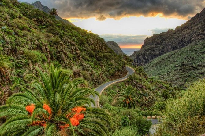 Tenerife Highlights Full-Day Tour - Key Tenerife Tour Highlights You’ll Actually Feel