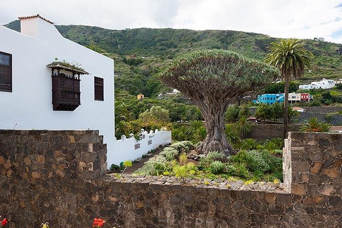 Tenerife Highlights Full-Day Tour - Garachico and the 1706 Eruption Story