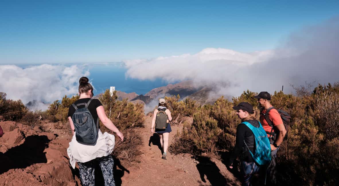 Tenerife: Hiking Tour Above Masca & Enchanted Forest - A 5-hour Tenerife hike that changes the weather in your shoes