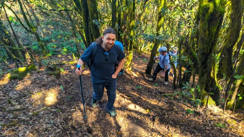 Tenerife: Hiking Tour Above Masca & Enchanted Forest - Stop 1: the route begins in pine country, then shoots you into big views
