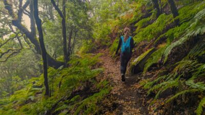Tenerife: Hiking Tour Above Masca & Enchanted Forest - Getting from South Tenerife to Teno Rural Park with hotel pickup