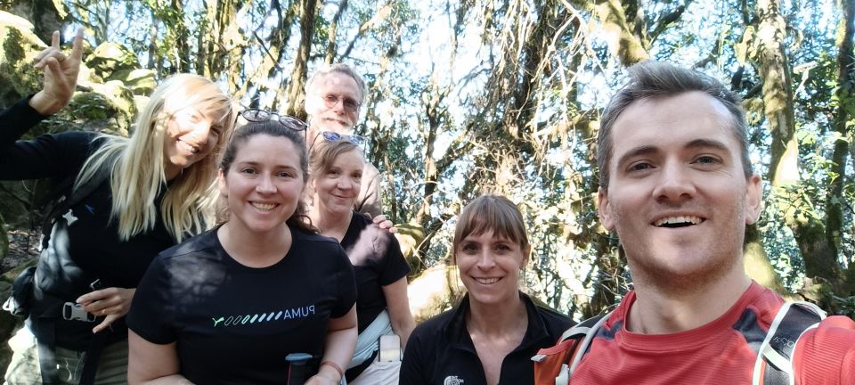 Tenerife: Hiking Tour Above Masca & Enchanted Forest - Stop 4: the 360° viewpoint moment and the second guided hike (about 2 hours)
