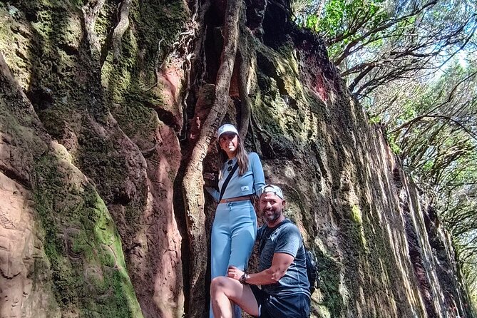 Tenerife: Hiking Tour in Anaga Mountains and Enchanted Forest - Key highlights I’d plan around