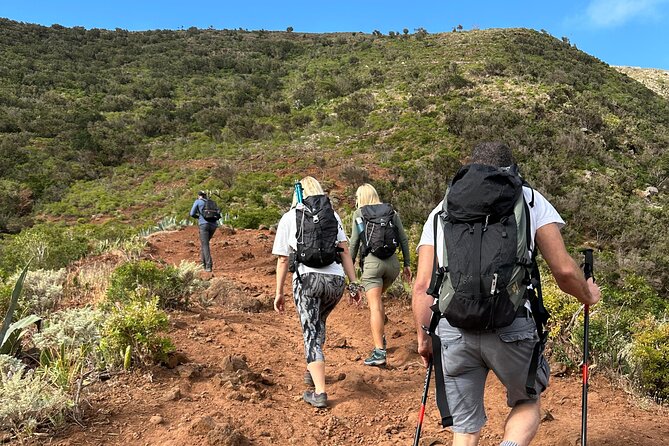 Tenerife: Hiking Tour in Anaga Mountains and Enchanted Forest - Pickup and timing: how a 9:00 am start really affects your day