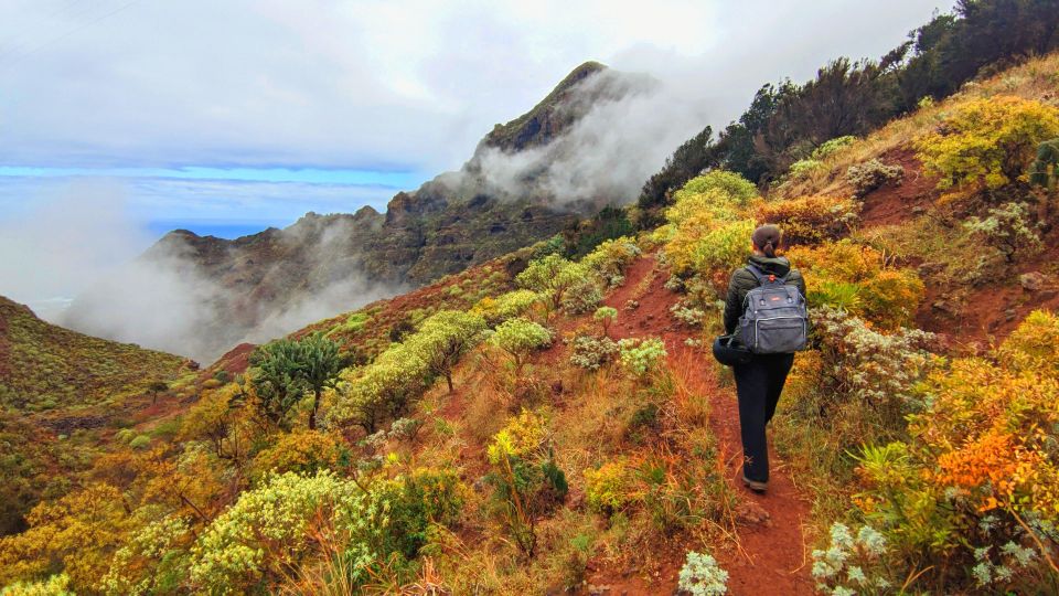 Tenerife: Hiking Tour in Anaga Mountains & Enchanted Forest - Why Anaga Rural Park hits different (forest plus big ocean energy)