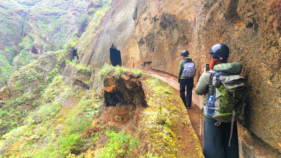 Tenerife: Hiking Tour in Anaga Mountains & Enchanted Forest - Door-to-trail logistics: pick-up from the south-east, including cruise days