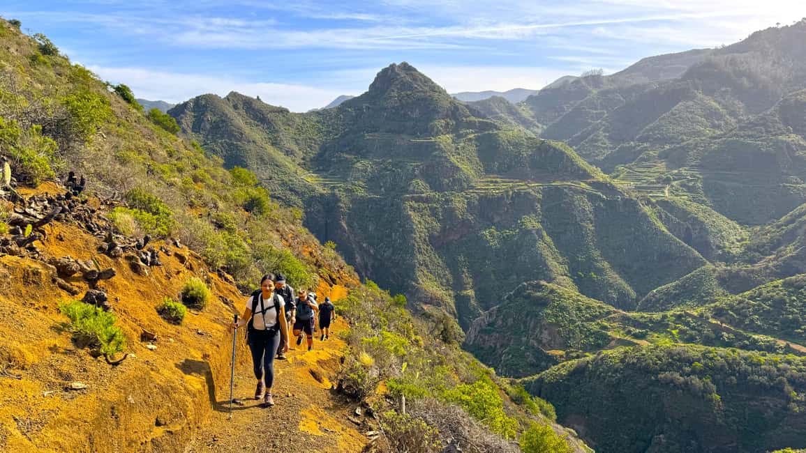 Tenerife: Hiking Tour in Anaga Mountains & Enchanted Forest - Price and value: is $146 fair for what you get?