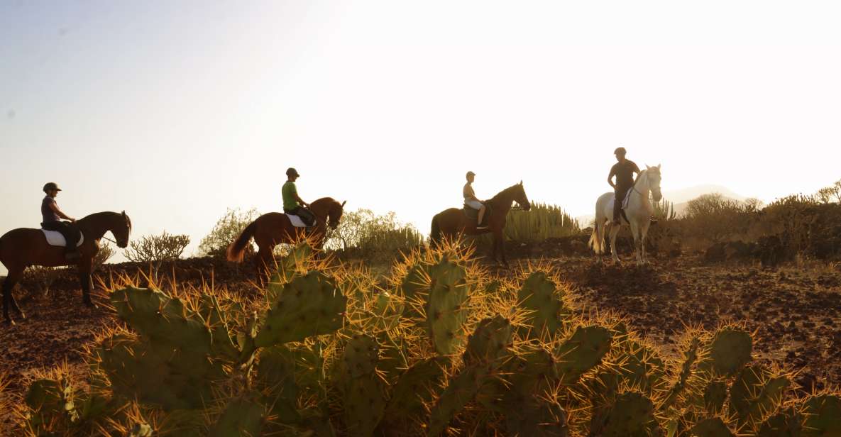 Tenerife: Horseback Ride with Instructor - Quick Highlights Worth Knowing