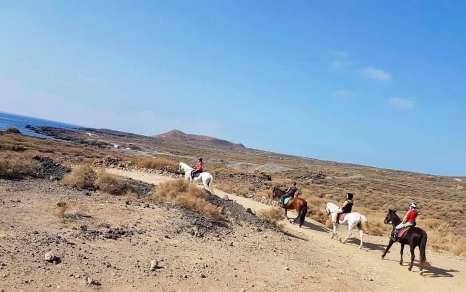 Tenerife: Horseback Ride with Instructor - Getting Oriented at Xanadu Riding Center in Arona