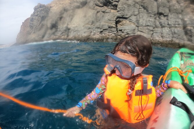 Tenerife: Kayak and snorkel with marine life safari - Timing and effort: why weather can change everything