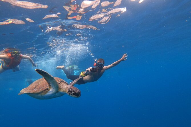 Tenerife: Kayak and snorkel with marine life safari - Gear, group vibe, and guide styles that shape the day