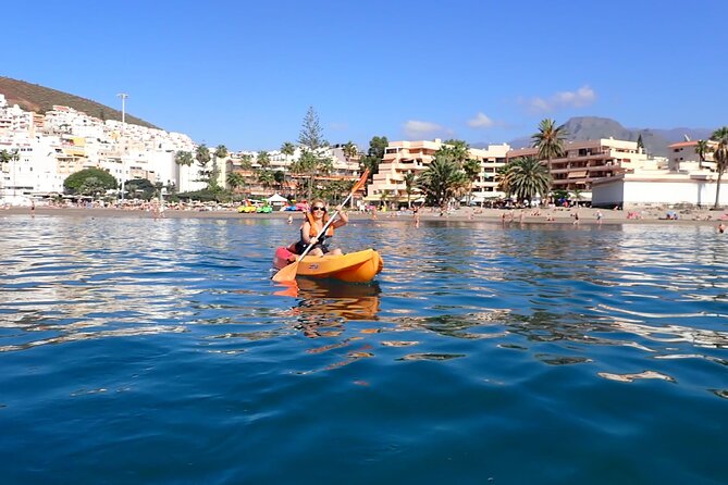 Tenerife: Kayak and snorkel with marine life safari - Snorkel stop: how it works, what you’ll see, and how to avoid common problems