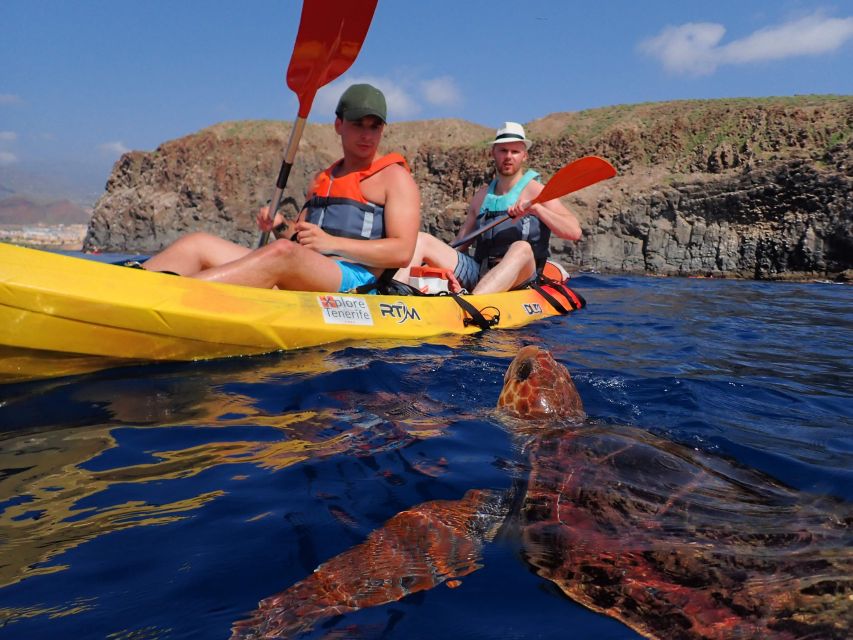 Tenerife: Kayak and Snorkel with Turtles, Wetsuits Included - Key things to know before you go