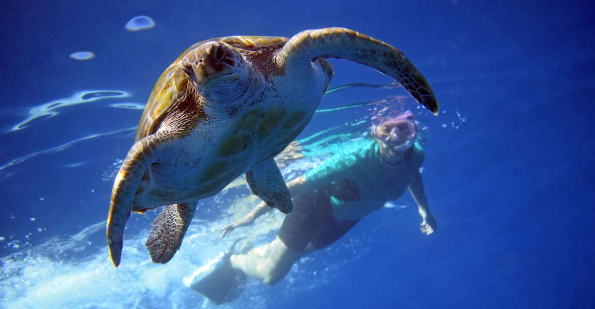 Tenerife: Kayak and Snorkel with Turtles, Wetsuits Included - Why this Tenerife kayak outing feels different
