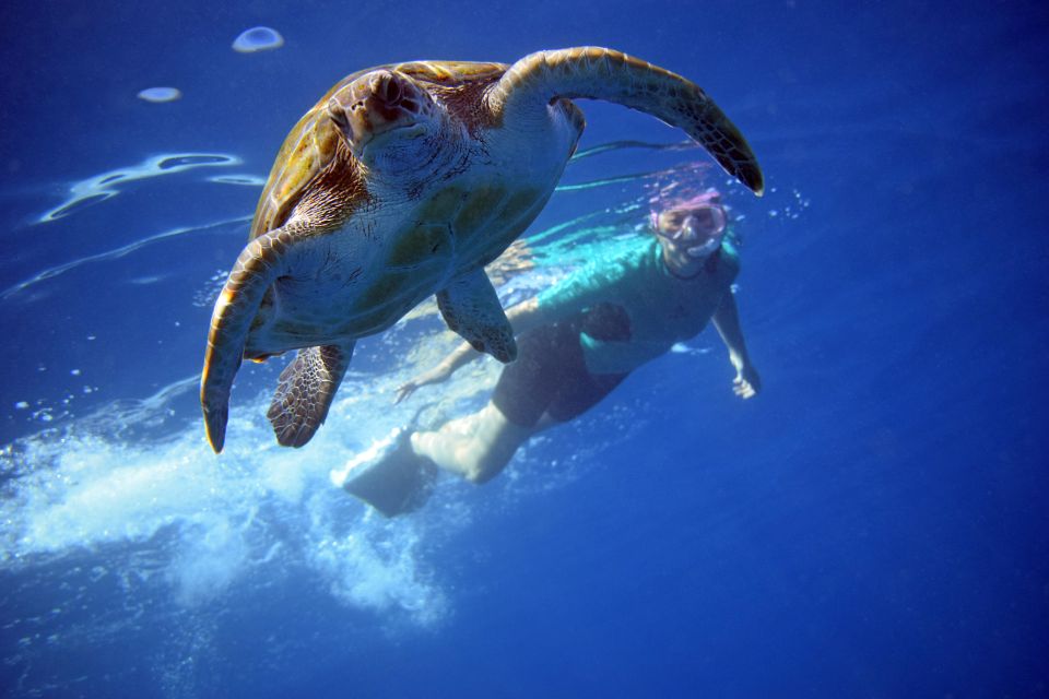 Tenerife: Kayak and Snorkel with Turtles, Wetsuits Included - The short walk to the water and why it’s part of the flow