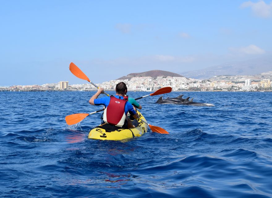 Tenerife: Kayak and Snorkel with Turtles, Wetsuits Included - Cueva de los Enamorados stop: quick wildlife scanning moment