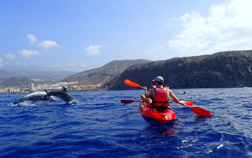 Tenerife: Kayak and Snorkel with Turtles, Wetsuits Included - Wetsuits, seats, and the “comfort math”