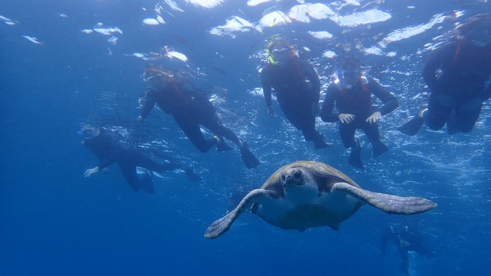 Tenerife: Kayak and Snorkel with Turtles, Wetsuits Included - Meeting at Xplore Tenerife and getting geared up