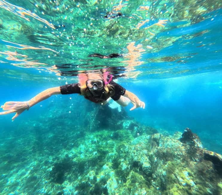 Tenerife: Kayak and Snorkeling Tour with Marine Life - Key things I’d plan around